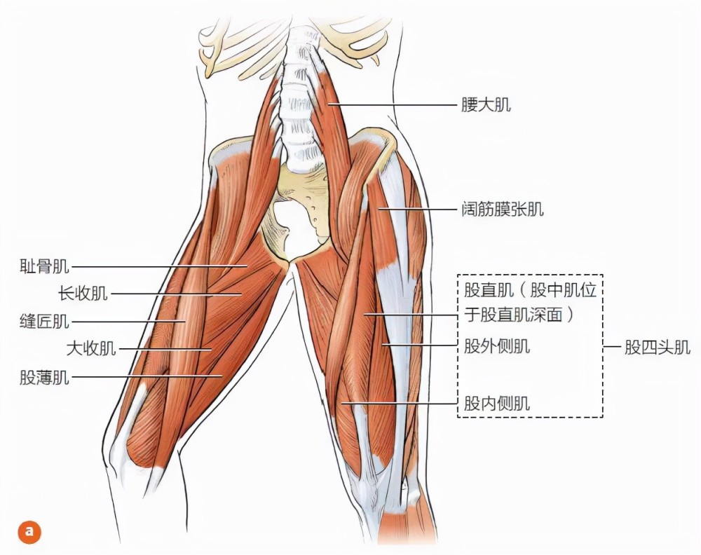 腾讯网