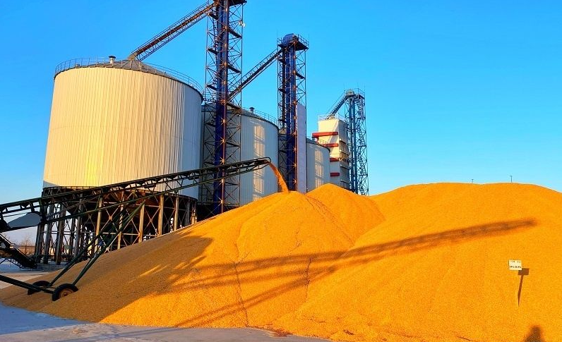 中国有14亿人口那粮食是如何储存的都用到了哪些高科技