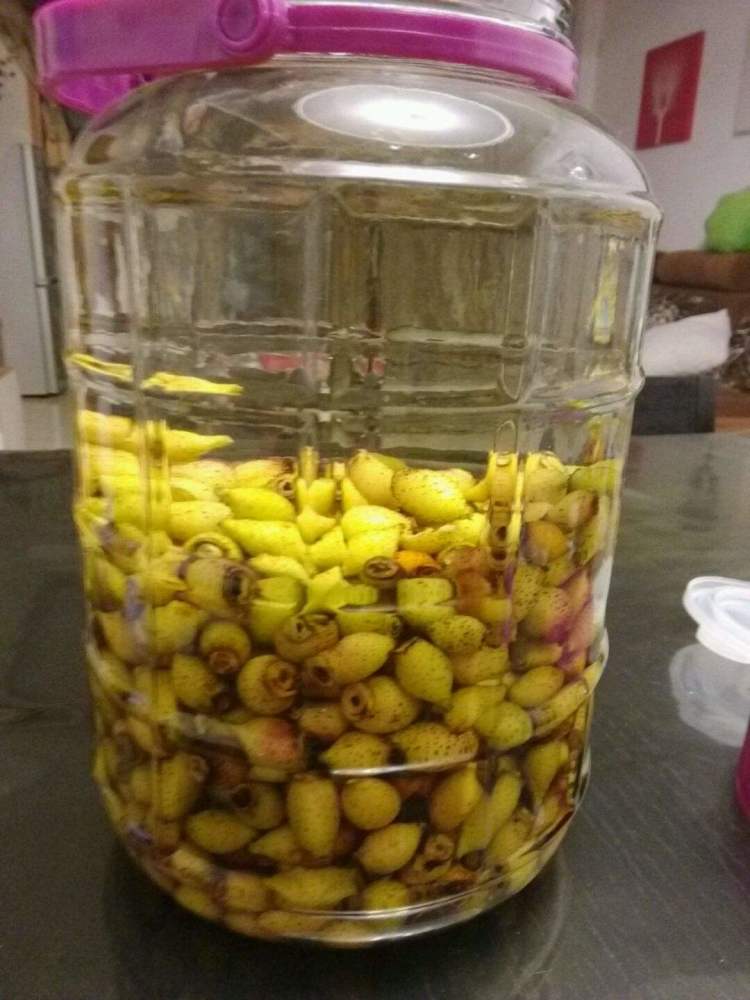刺梨泡酒的制作方法你知道吗