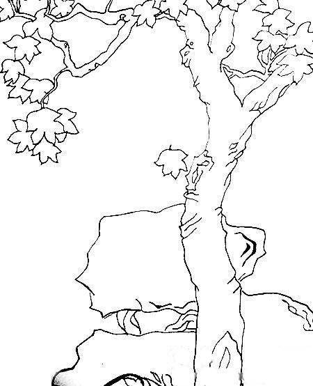 榆树,是一种落叶乔木,它的果实就是榆荚,因其外形酷似古代铜钱而又名