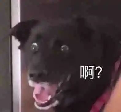 搞笑评论合集快拿去水经验狗头保命