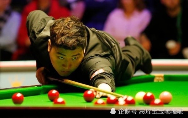 世界名木排行_中国公认的9种顶级古树名木