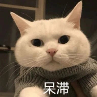 猫猫狗狗表情包