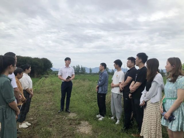 稻田裡的黨史課在江山市賀村鎮