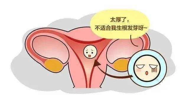 天倫科普女性子宮內膜厚很難懷孕嗎是什麼引起的