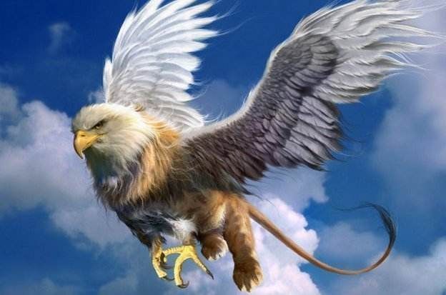 世界兵器大观北欧瑞典的明星武器jas39鹰狮轻型战斗机