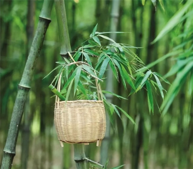 坟边长竹须迁坟,坟前两物成富人"两物"是什么?