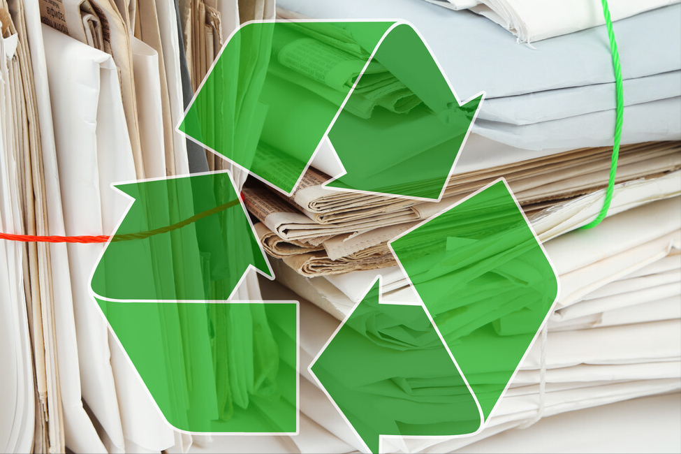 回收废纸再造卫生纸是环保还是不讲卫生怪不得有些纸那么便宜