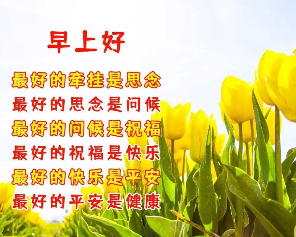 早上好祝福的話圖片帶文字