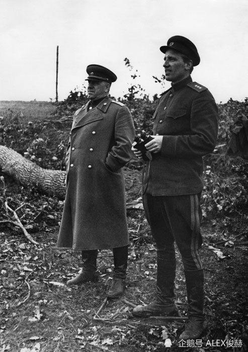 苏军一战损失85万人朱可夫因为反对被直接撸了