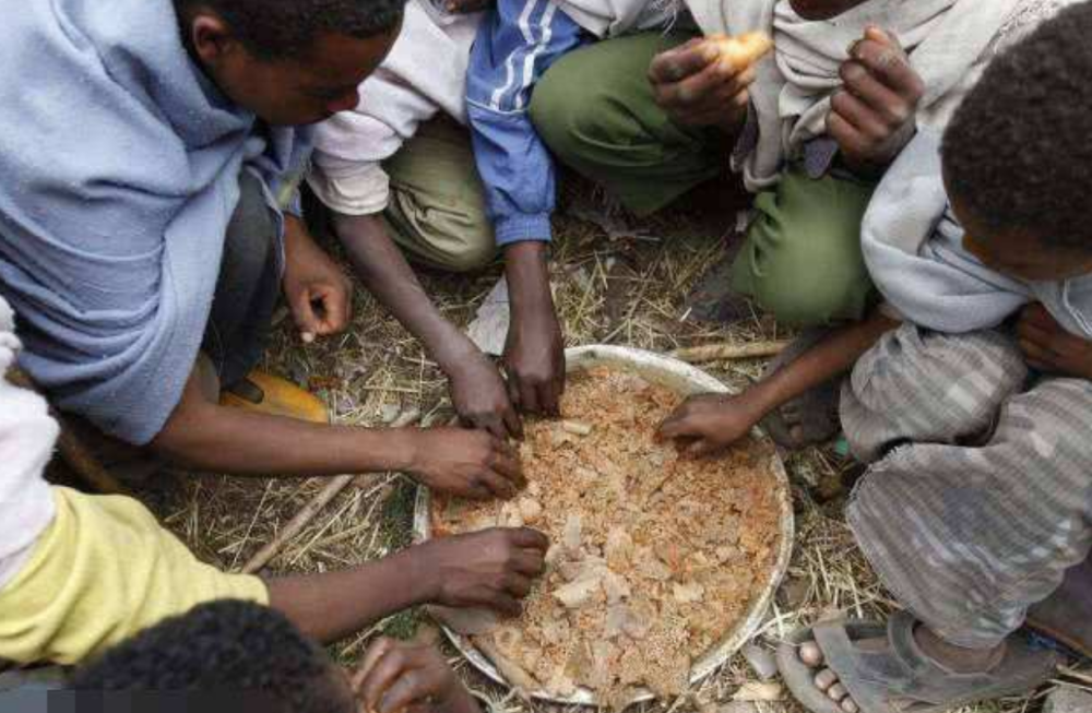 非洲人常年吃不起饭,为何不种地?看下地上长的啥就知道了_腾讯新闻