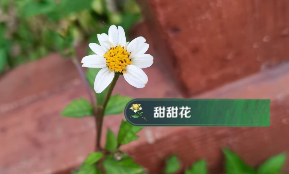 《原神》玩家"犯病"集锦,别去打那群鸽子啦!人均线下后遗症?_腾讯新闻