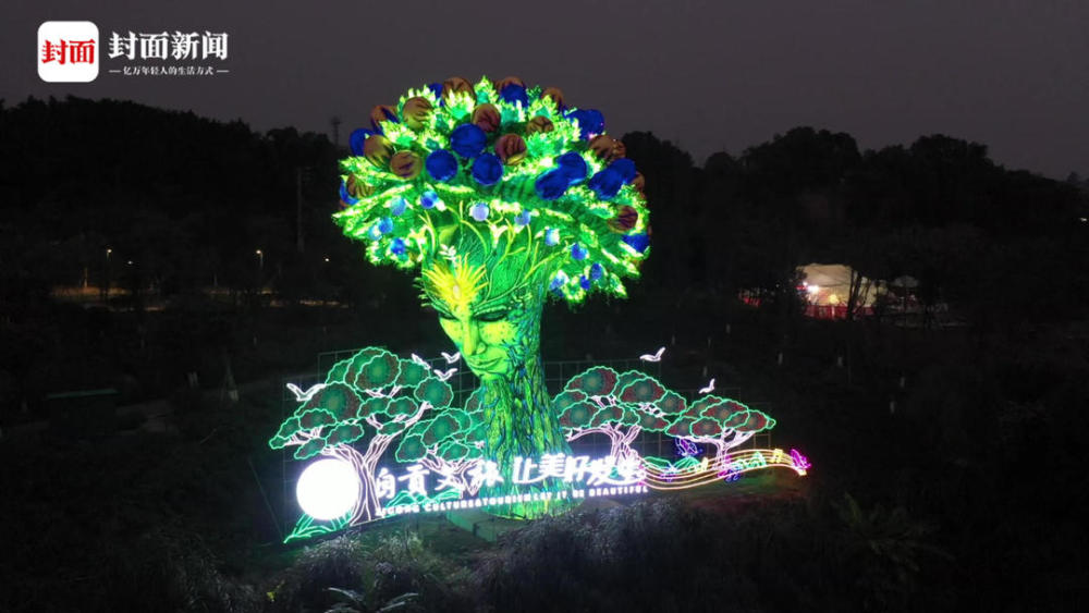 四川自贡网红灯组生命之树再掀打卡热潮新增榕树蝴蝶飞鸟等元素
