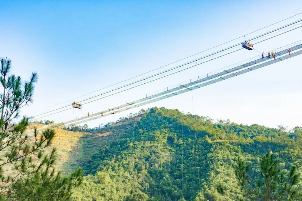 信宜这条520钢索跨河玻璃桥你敢去玩吗