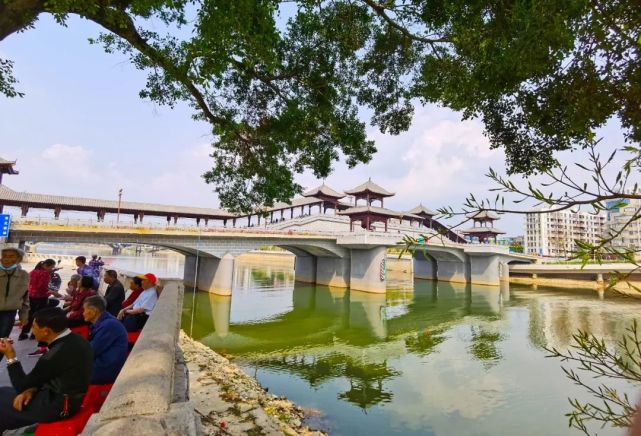 视觉增城|一桥风景,两岸繁华