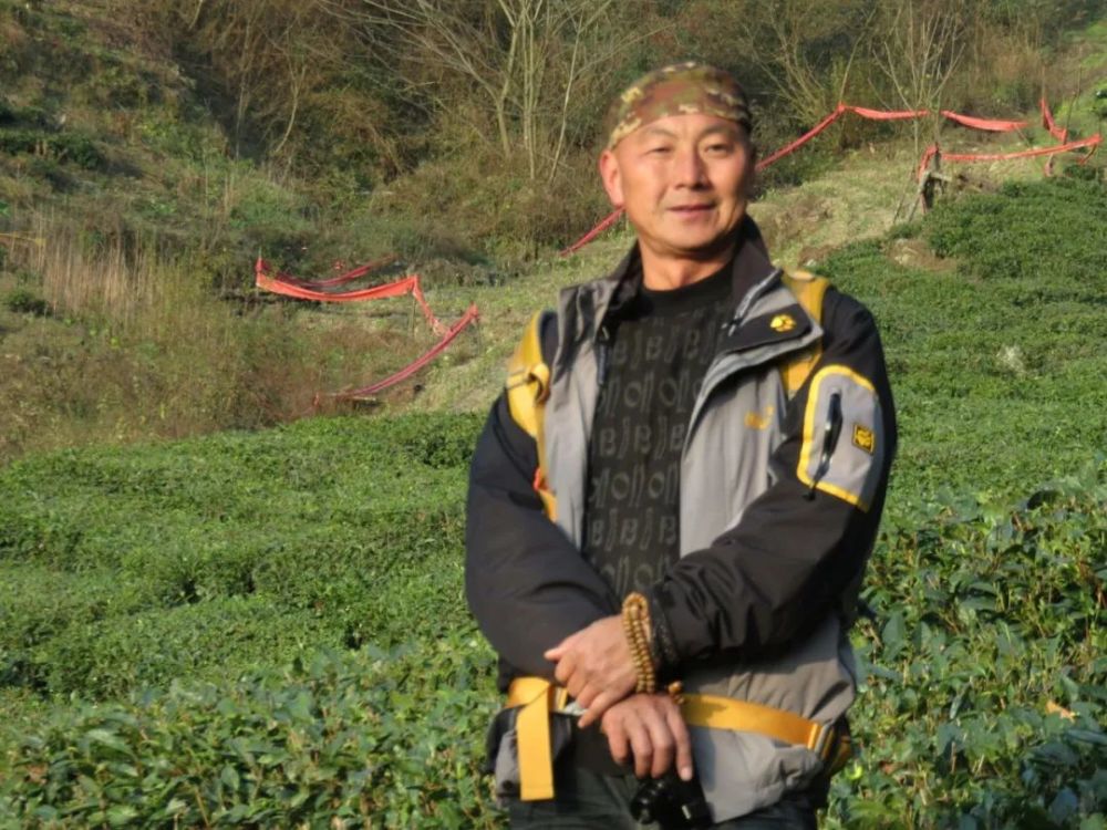 摄影邱建林醉人的碧口风光