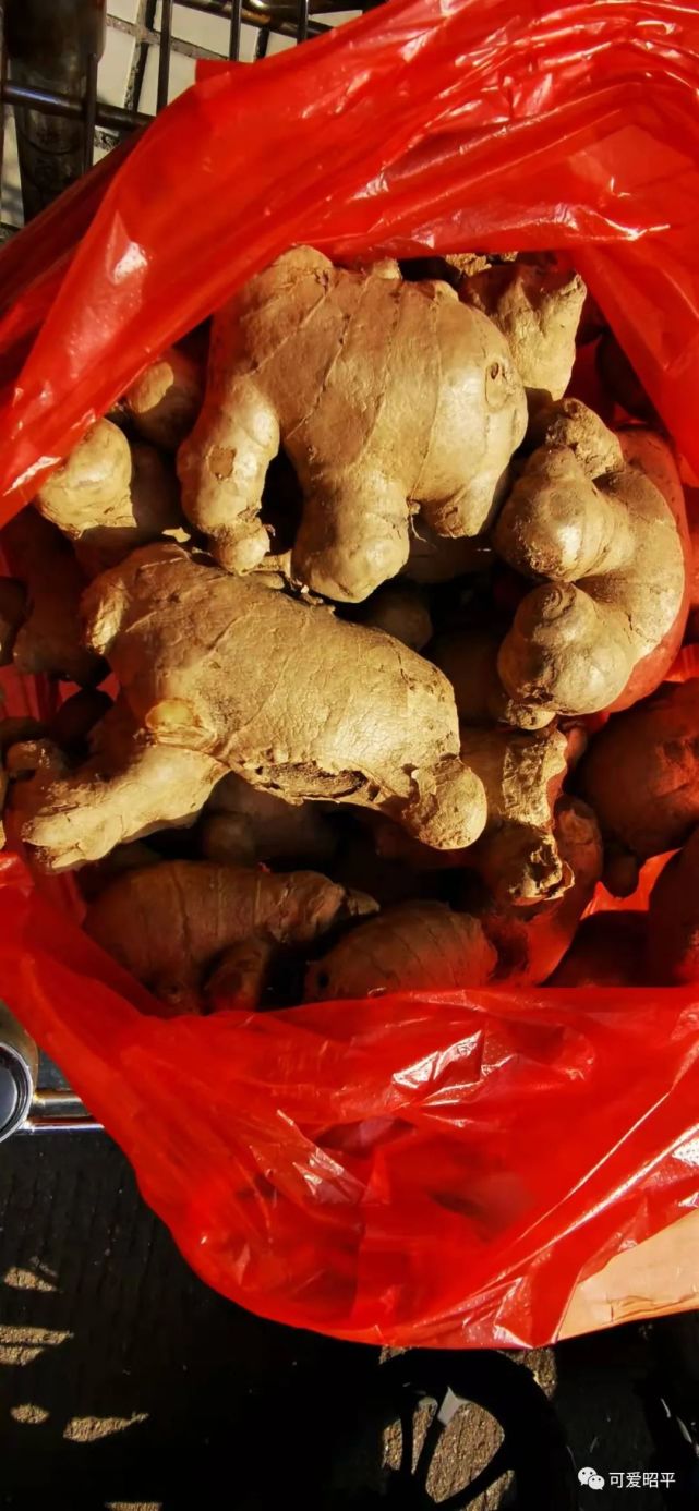 【昭平房屋租售】&几靓的仙回大肉姜