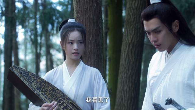 雪中悍刀行大凉龙雀登场十大名剑之一万剑共主给了姜泥