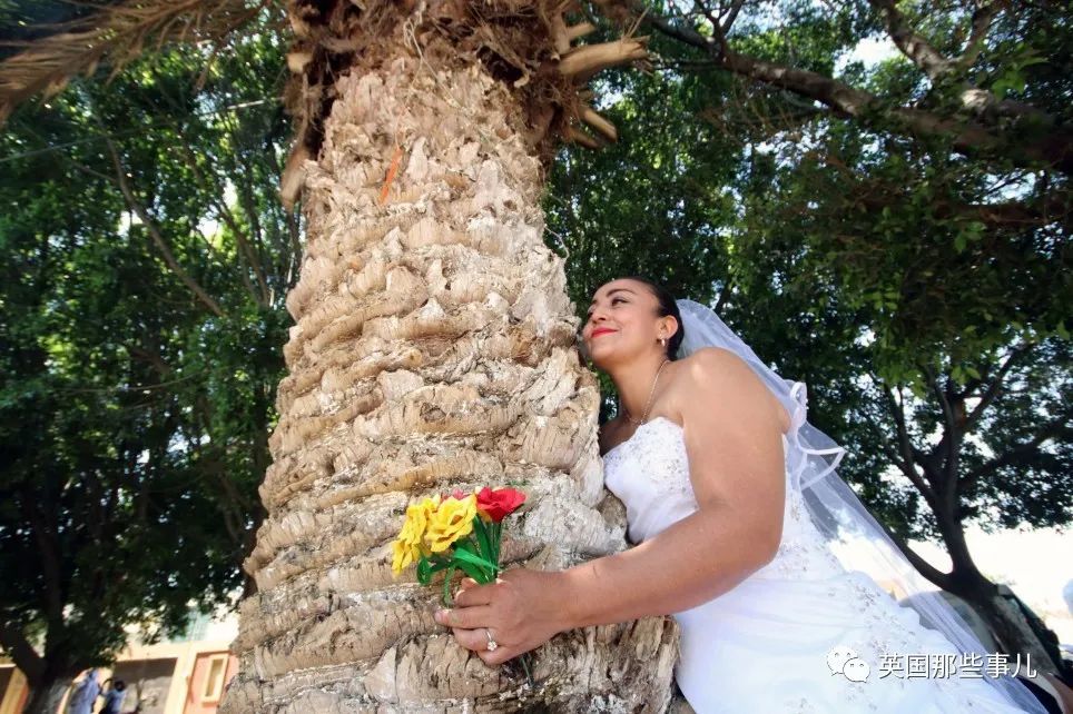 蛋糕英语怎样保密姑娘智能结婚更愿意建建筑今小学英语启蒙用什么教材