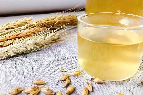 麦芽的功效与作用,麦芽的制作方法