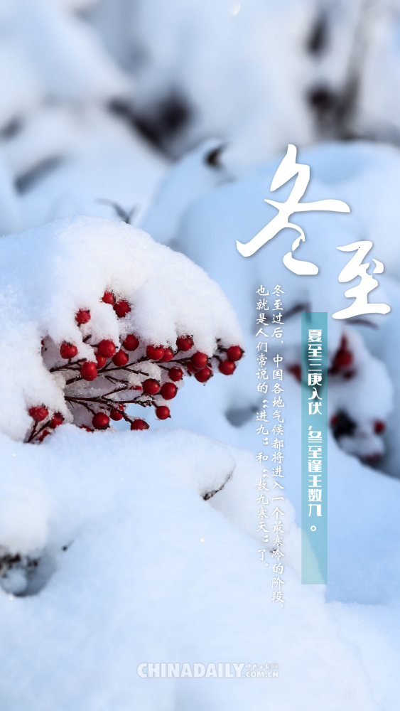 【海报】冬至:数九寒天从今始_腾讯新闻