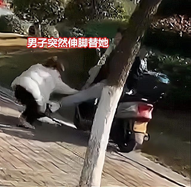 江苏:女子跪在骑车男面前自扇耳光,求不要折磨她,遭无情踢踹