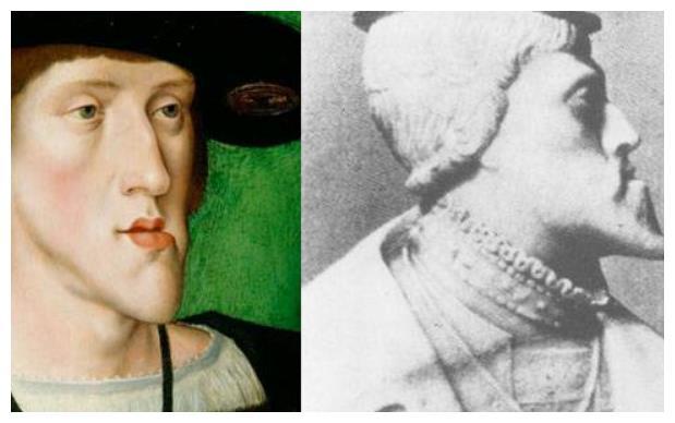 为了使血统纯正,王族近亲通婚150年,结果创造一堆"鞋拔子脸"