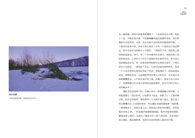 冬至,重读迟子建散文|也是冬天,也是春天