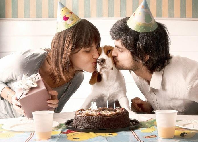 我国丁克家庭破60万人老了以后苦日子才刚开始