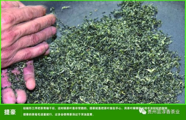 都匀毛尖茶制作工艺与流程