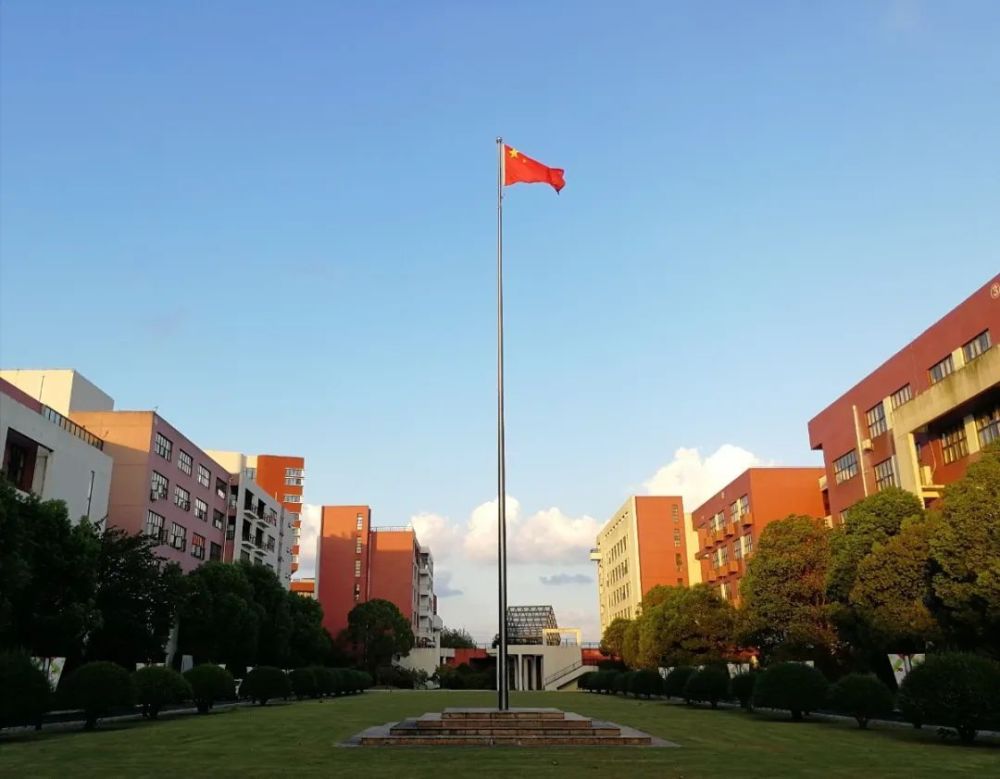上海震旦职业学院被注销校方回应确有其事但另有隐情
