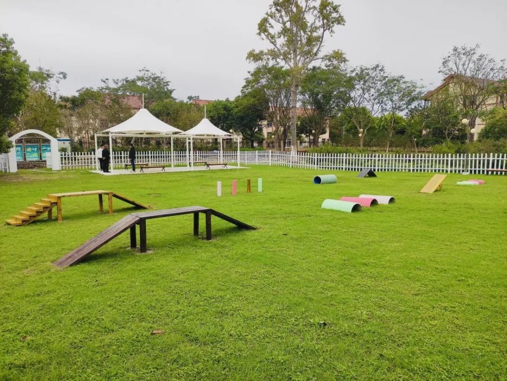 海湾镇五四中港居民区在今年7月利用自治家园打造了"宠物乐园",设立在