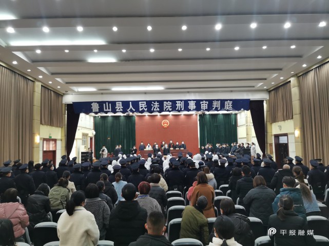 鲁山县人民法院公开宣判一起涉黑案|鲁山县|徐飞|汝南县|査明