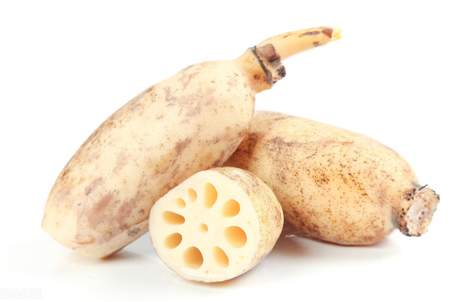 莲藕的图片(莲藕的图片大全大图 简笔画)