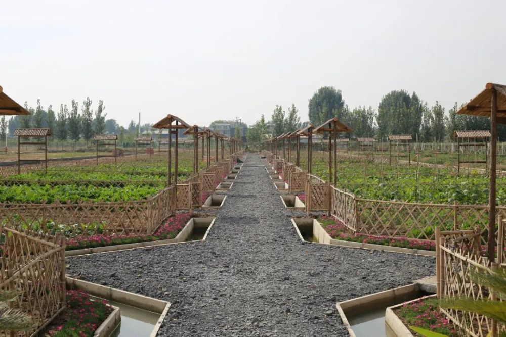 【乡村振兴巾帼行动】山东儒源春秋耕读文化有限公司:创新发展一二三