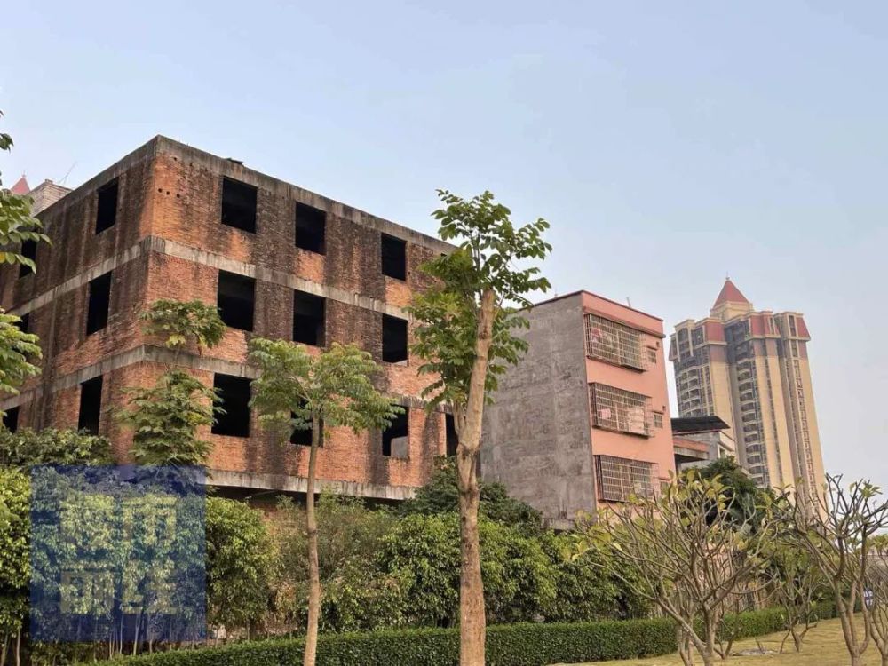 主村道尚算宽阔,两旁巷子里的自建房是城中村常见的握手楼.