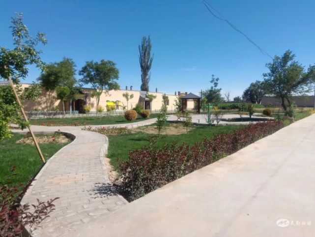 走在民勤县三雷镇建新村,新农村新面貌处处可见.