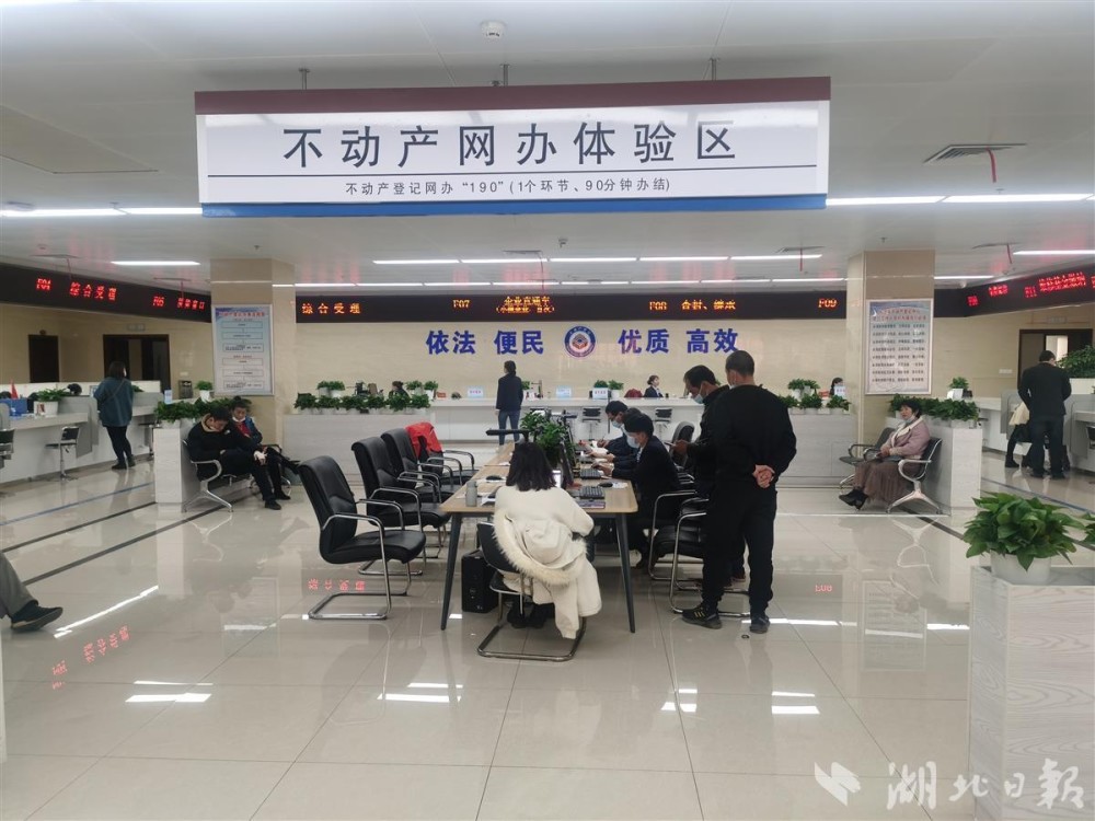 大冶市不动产登记服务中心工作人员的指导下,通过湖北省政务服务网