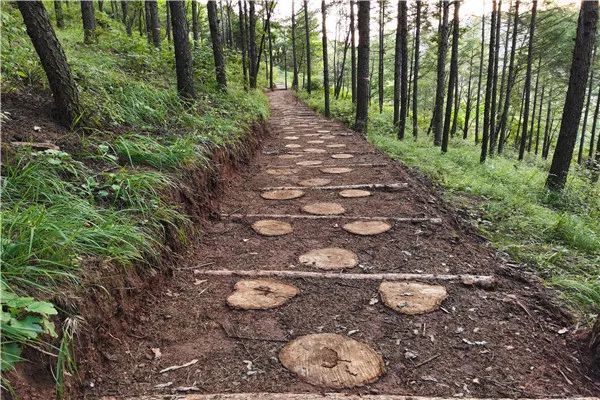 【林讯】太行山国有林管理局积极推进森林康养基地步道延伸工程_腾讯