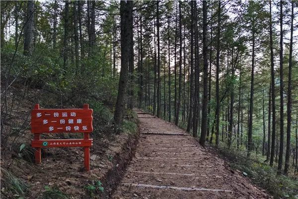 【林讯】太行山国有林管理局积极推进森林康养基地步道延伸工程_腾讯