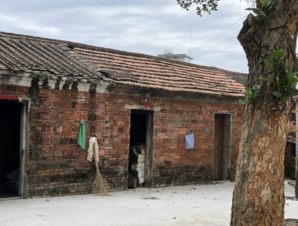 全红婵家真朴实豪车盖上外罩很爱护不张扬破瓦房能住不翻新