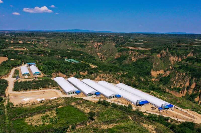 陕西淳化县返乡大学生在黄土塬开辟致富路