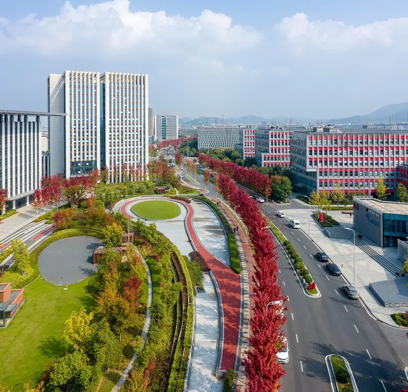 龙港科技园汇智科技园兴智科技园高标准建设了兴智,汇智,龙港,红枫