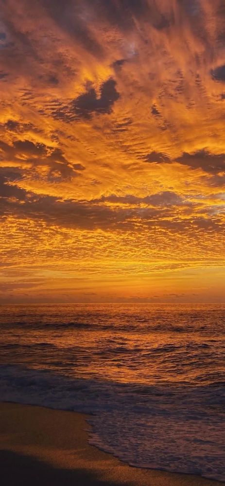 宝藏壁纸橙色系壁纸