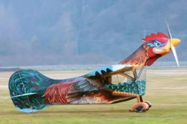 涂装也是战斗力！世界10大令人过目难忘的飞机涂装鄂州红莲湖什么时候通公交