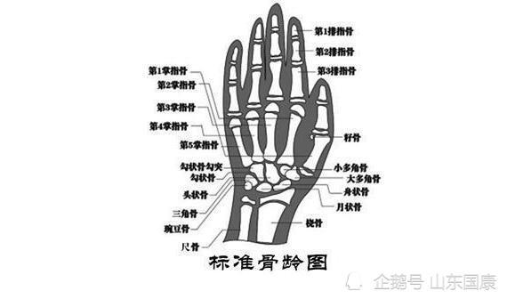 便携式骨密度检测仪介绍如何看骨龄报告判断长多高