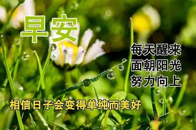 人生就像一場戲,因為有緣才相聚,早安!|友誼