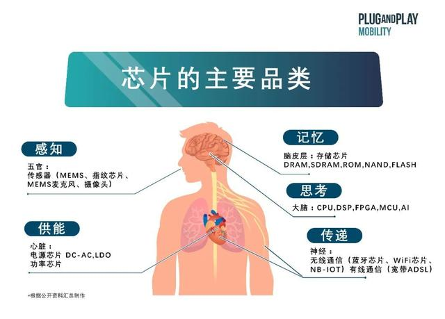 未来人体竟然会像汽车一样离不开芯片