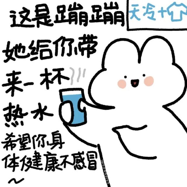 暴躁文字小兔子系列表情包五