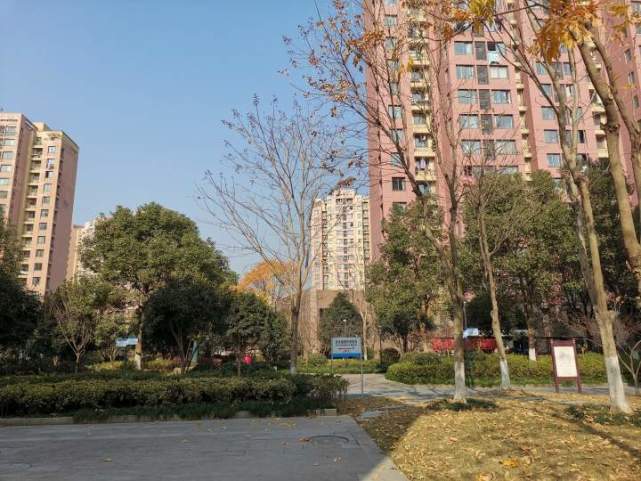 这段日子,在杭州田园公租房管理服务中心,陆续有人前来办理入住手续.